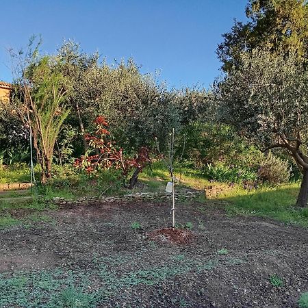 Appartement Studio 25M2 Avec Piscine Et Spa, Proche Iter Et Cadarache à Valensole Extérieur photo