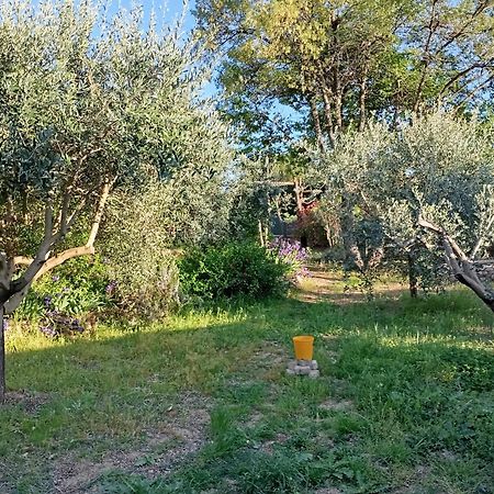 Appartement Studio 25M2 Avec Piscine Et Spa, Proche Iter Et Cadarache à Valensole Extérieur photo