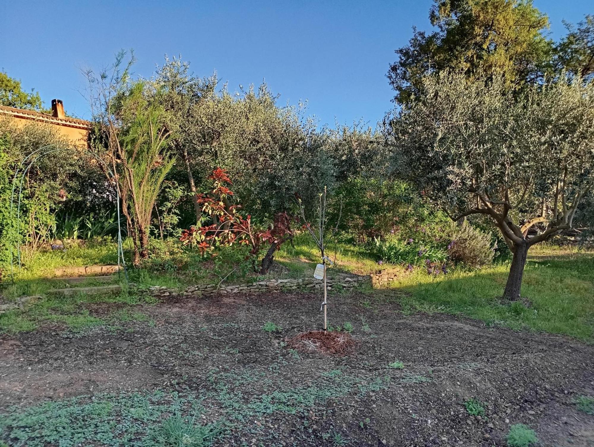 Appartement Studio 25M2 Avec Piscine Et Spa, Proche Iter Et Cadarache à Valensole Extérieur photo