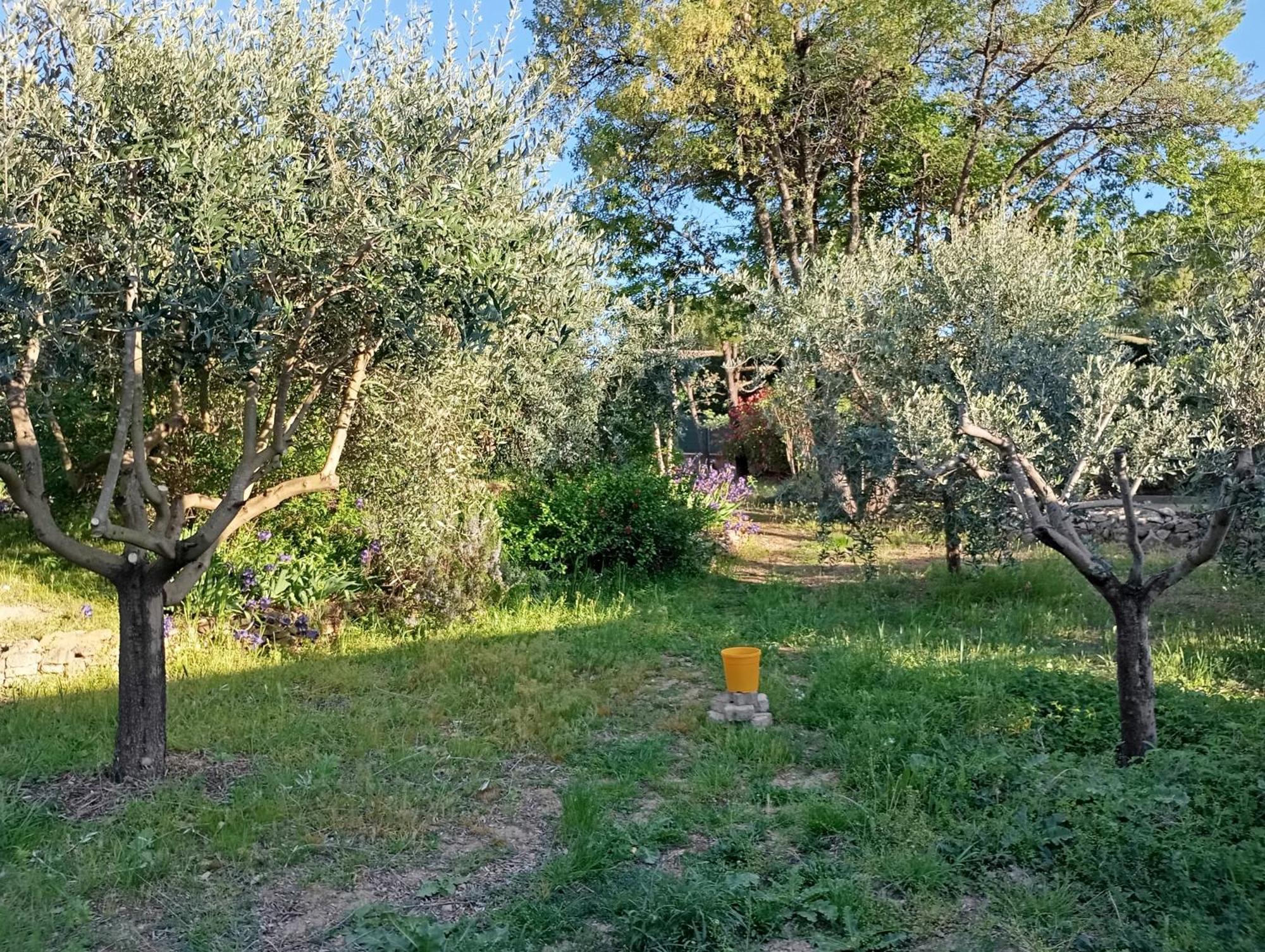 Appartement Studio 25M2 Avec Piscine Et Spa, Proche Iter Et Cadarache à Valensole Extérieur photo
